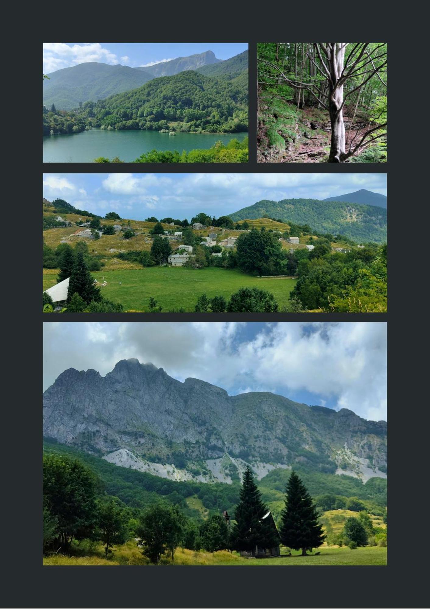 Borgo Del Sole Agriturismo Poggio  Екстер'єр фото