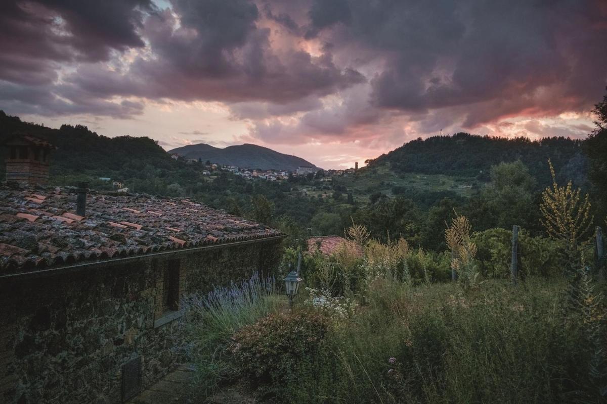 Borgo Del Sole Agriturismo Poggio  Екстер'єр фото